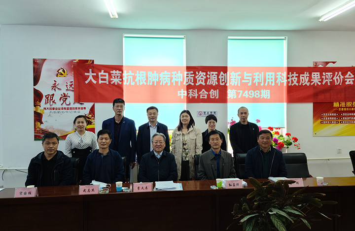 大白菜抗根肿病优异种质资源创制与应用 anli.jpg